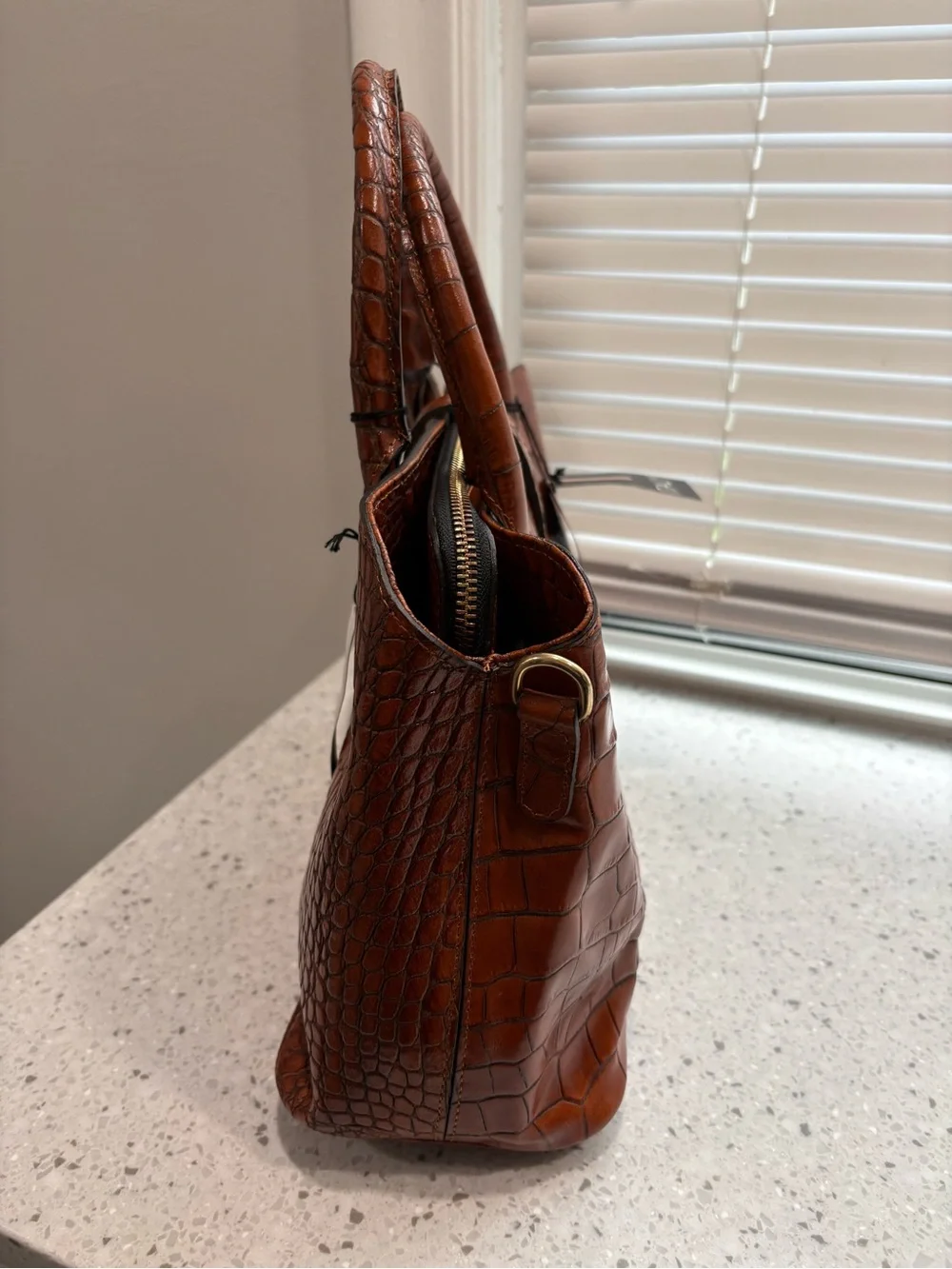 NWT Claudia Firenze Women's Croc-Embossed Leather Satchel in Brown